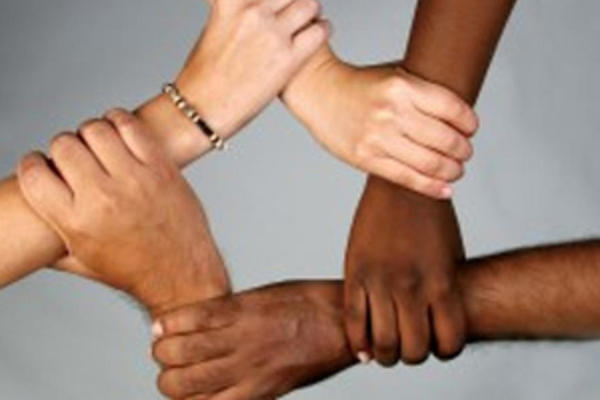 Diversity